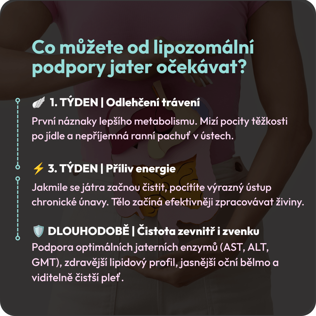Podpora jater 4 CZ